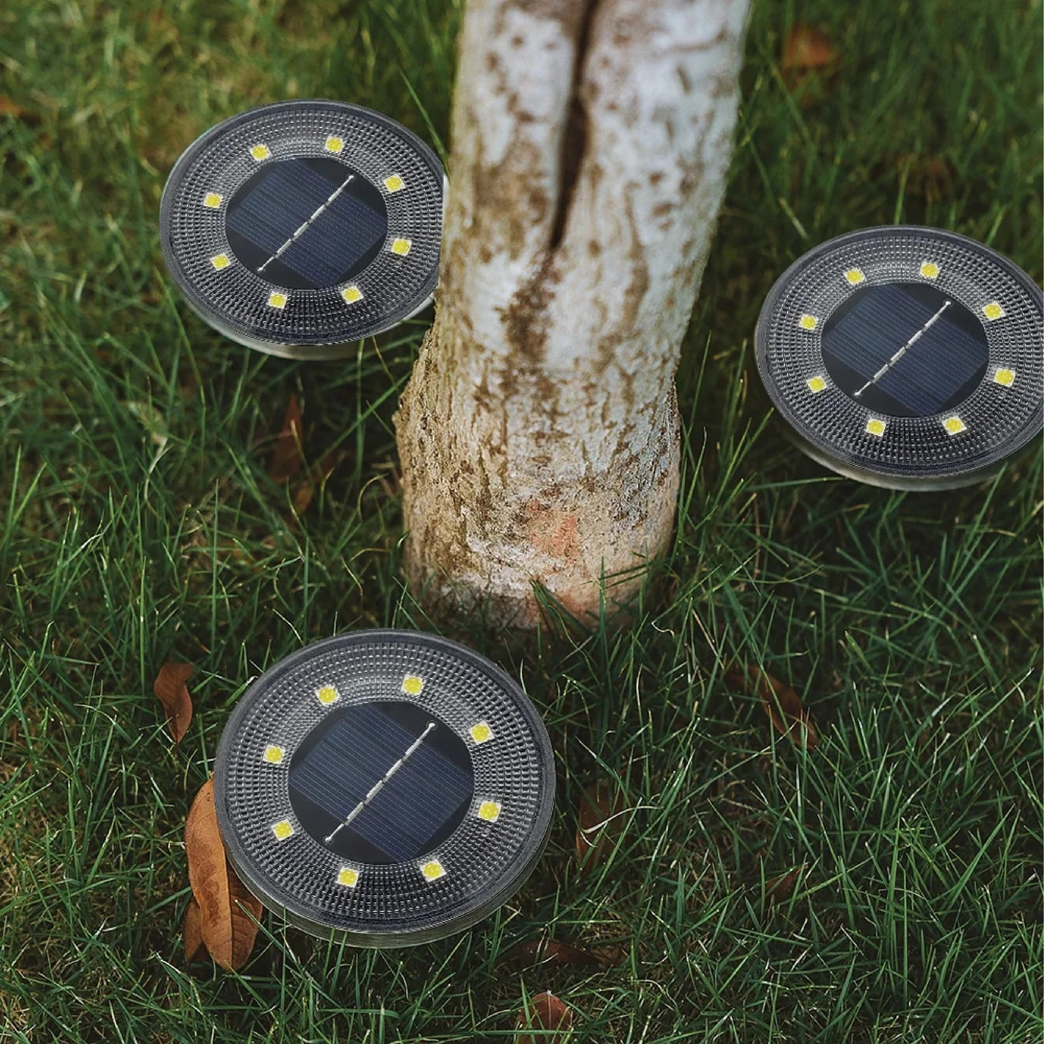 Lumières de Jardin Solaires LED Deluxe - Éclairage Extérieur Écologique et Économique